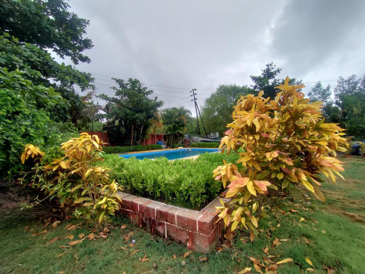 Opulence Resort Awas Alibaug Alibag Exterior photo